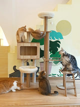 CASSAIO Cat Tree for Indoor Cats Modern Cat Tree Wood Cat Tower with Large Space Capsule Cat Condo with Sisal Scratching Post and Funny Toy Cat Furniture Activity Center 55.5 inch CASSAIO