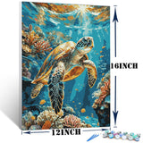 Lovepefe Sea Turtle Paint by Numbers Kit for Adults with Framed Oil Painting Kit Beginner Turtle DIY Painting Kits for Adults Paint by Number On Canvas for Gift Home Wall Decor 12x16 Inch Lovepefe