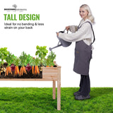 Backyard Expressions Wooden Raised Garden Bed | 48" x 24" x 30" Elevated Planter Box with Included Bed Liner | Outdoor Vegetable, Flower, and Herb Gardening BACKYARD EXPRESSIONS PATIO · HOME · GARDEN