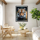 Bimkole 5D Diamond Art Kits for Adults Tiger, Full Drill Animal DIY Rhinestone Embroidery Set Paint with Diamonds Art by Number Kits Cross Stitch Home Wall Craft Decoration 12x16 Inch Bimkole