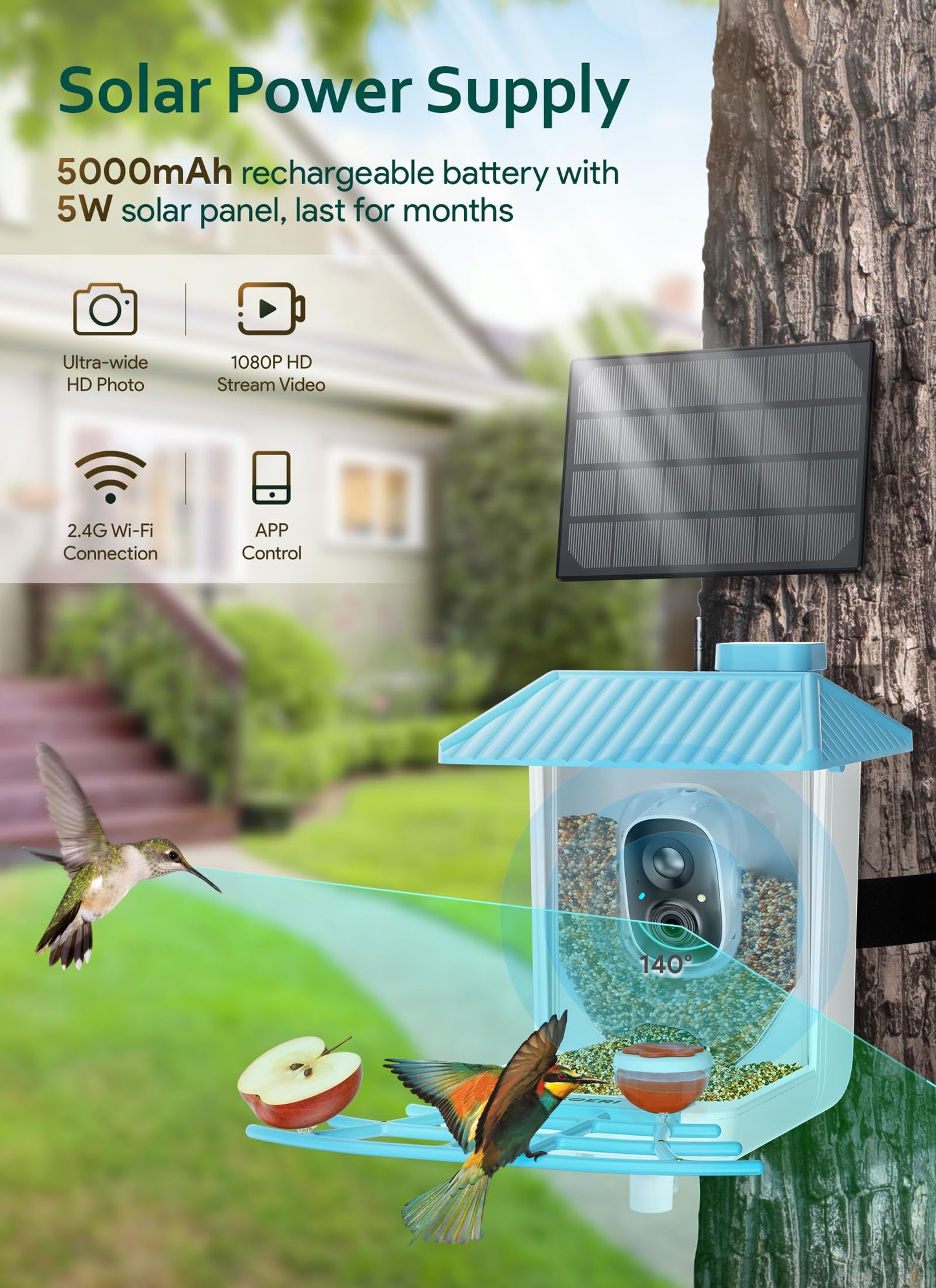 Osoeri Smart Bird Feeder with Camera, 1080P HD AI Identify Wild Bird Watching Camera, Auto Capture Bird Videos & Motion Detection, DIY Add-ons & - WoodArtSupply