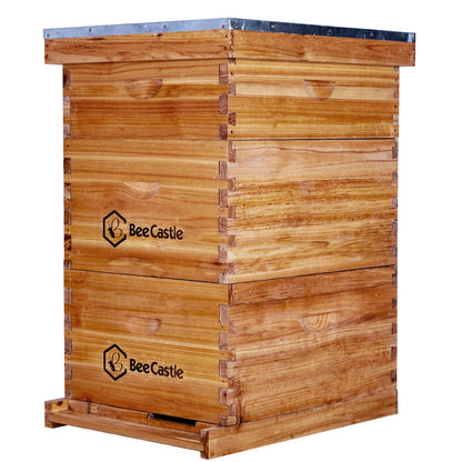 BeeCastle 10 Frame Langstroth Bee Hive Coated with 100% Beeswax Includes Beehive Frames and Waxed Foundations (2 Deep Boxes & 1 Medium Box) - WoodArtSupply