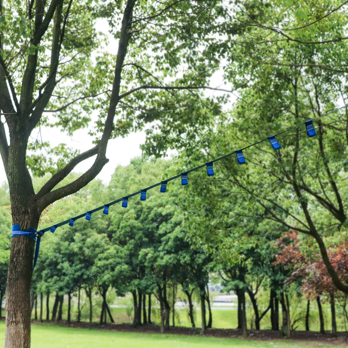 Rainbow Craft Ninja Warrior Obstacle Course for Kids - 50ft Slackline, 12 Removable Buckle Loops, 12 Ninja Attachments, Outdoor Training Equipment Rainbow Craft