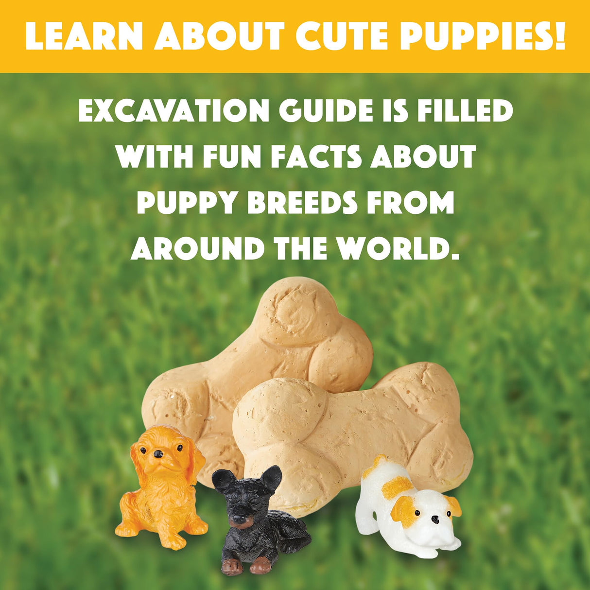 MindWare Dig it Up! Puppies Excavation Kit - Educational Toys for Kids 4 and Up - Dig Kit with 12 Bones, 12 Puppy Figurines, 12 Chisels - Ideal for Group Activities, Events or Classroom Brain Breaks MindWare