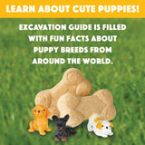 MindWare Dig it Up! Puppies Excavation Kit - Educational Toys for Kids 4 and Up - Dig Kit with 12 Bones, 12 Puppy Figurines, 12 Chisels - Ideal for Group Activities, Events or Classroom Brain Breaks MindWare