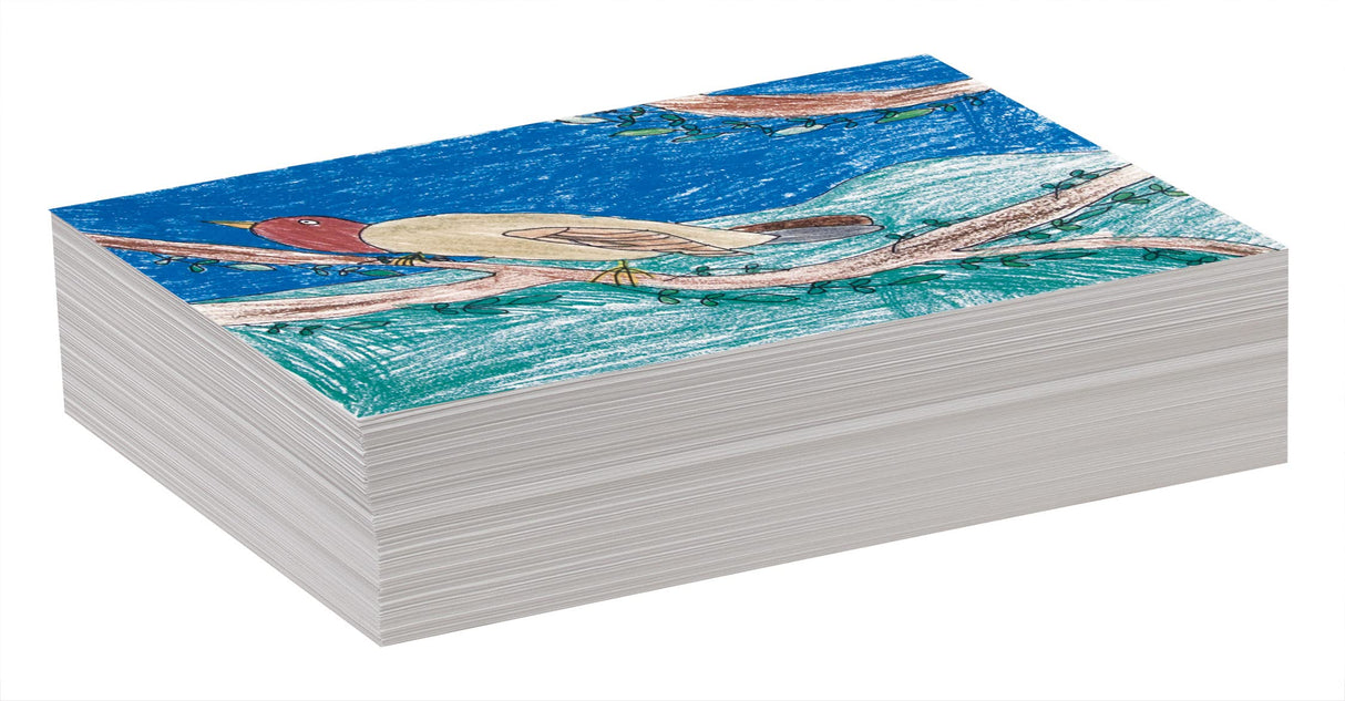 Pacon Drawing Paper, White, Standard Weight, 9" x 12", 500 Sheets Pacon