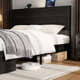 madeslves Wooden Bed Frame Queen Size with Headboard & Sliding Barn Door Storage Footboard, Farmhouse Platform Bedframe with Charging Station & Lights, No Box Spring Needed, Black madeslves