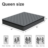 DAJIYUHC Queen Mattress, 12 Inch Hybrid Mattress in a Box, Memory Foam and Pocket Springs, Medium Plush Feel with Motion Isolating, CertiPUR-US Certified, Fiberglass Free -365-Night Trial DAJIYUHC