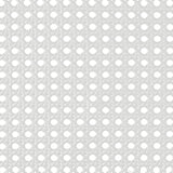 Lexicon Metal Bed Frame with Rattan Headboard, Metal Platform Bed with Strong Metal Slat Support Under Bed Storage, Boho Faux Cane Bed, Mattress Foundation No Box Spring Needed, Twin Bed, White Lexicon