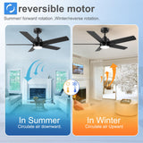 YUHAO 48 Inch Black Ceiling Fan with Light and Remote Control.Noiseless,Dimmable, 3CCT,6 Speeds Reversible, Modern DC Ceiling Fans for Indoor Use YUHAO