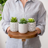 Kurrajong Farmhouse 9" wood pedestal stand | round pedestal riser board | acacia wood riser | acacia pedestal board | round pedestal riser | kitchen display stand | plant holder Kurrajong Farmhouse