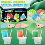 sdaymol Crystal Growing Kit,Science Kits for Kids Age 8-12,DIY Science Experiments Lab Learning & Educational Toys,STEM Projects Toys Gifts for Boys & Girls Ages 8 9 10 12 sdaymol