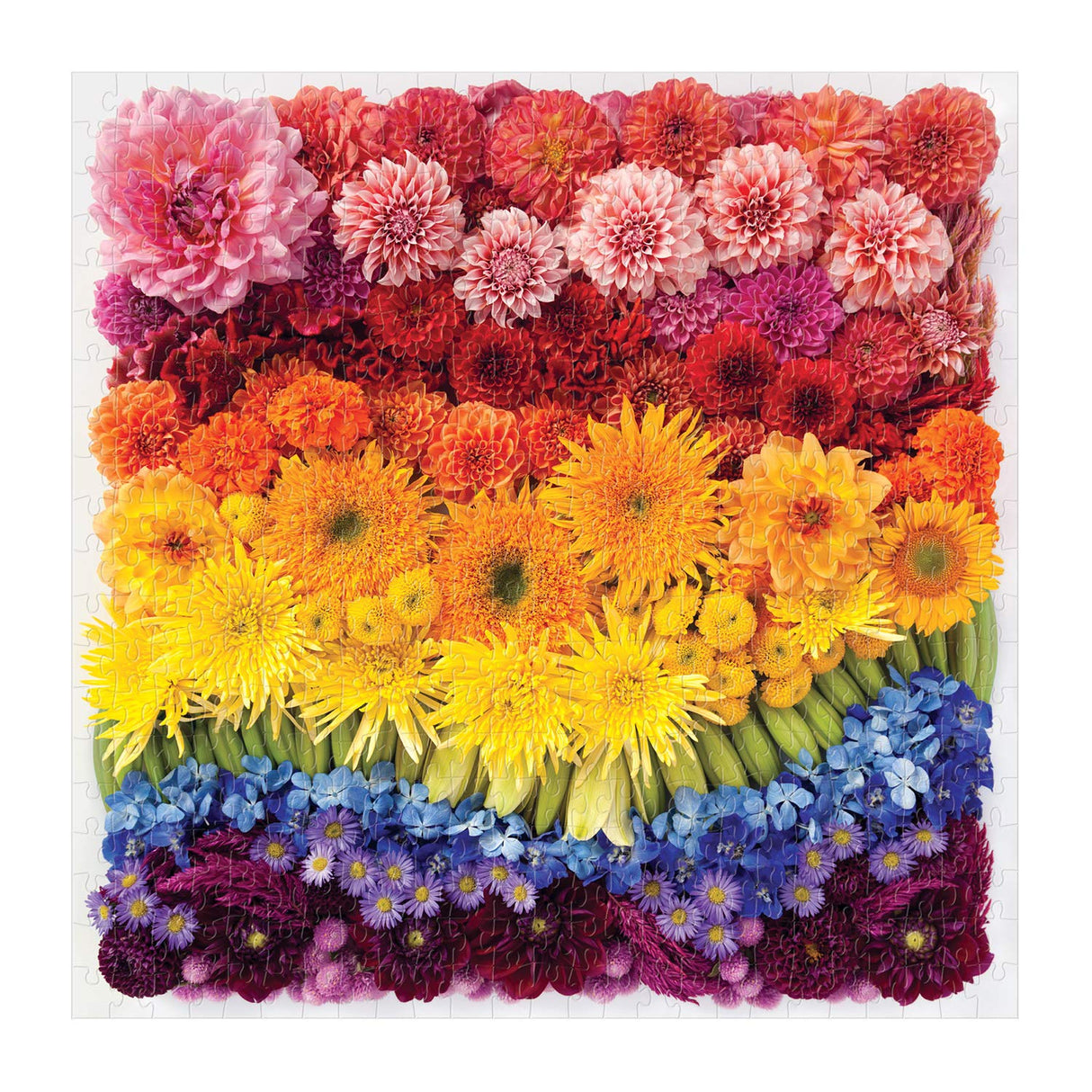 Galison Rainbow Flowers Jigsaw Puzzle, 500 Pieces, 20”x20” – Features an Array of Flowers and Petals in a Mesmerizing Rainbow of Color – Challenging, Perfect for Family Fun – Fun Indoor Activity Galison