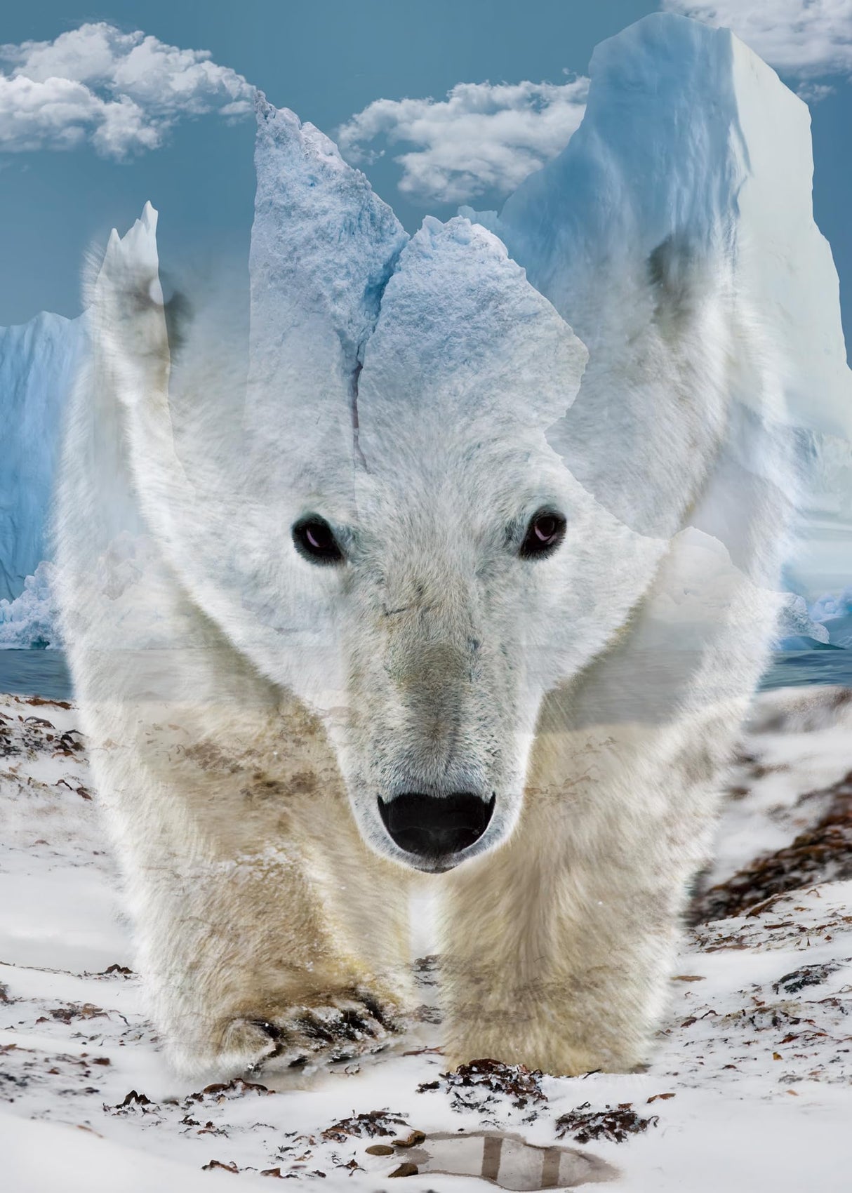 Animal Bear Jigsaw Puzzle for Adult 1000 Piece, Challenging Impossible Difficult Hard Puzzles for Adult, Nature Wildlife Hunting Puzzle 1000 Pieces BBOLDIN