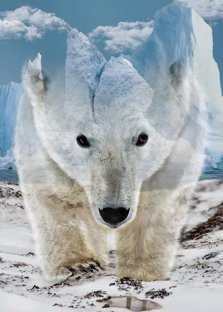 Animal Bear Jigsaw Puzzle for Adult 1000 Piece, Challenging Impossible Difficult Hard Puzzles for Adult, Nature Wildlife Hunting Puzzle 1000 Pieces BBOLDIN