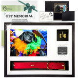 Havenae Pet Memorial Gifts for Dogs - Pet Memorial Shadow Box, Dog Loss Sympathy Gift, Pet Memorial Picture Frame, Pet Loss Gifts, Dog Bereavement Gifts Havenae