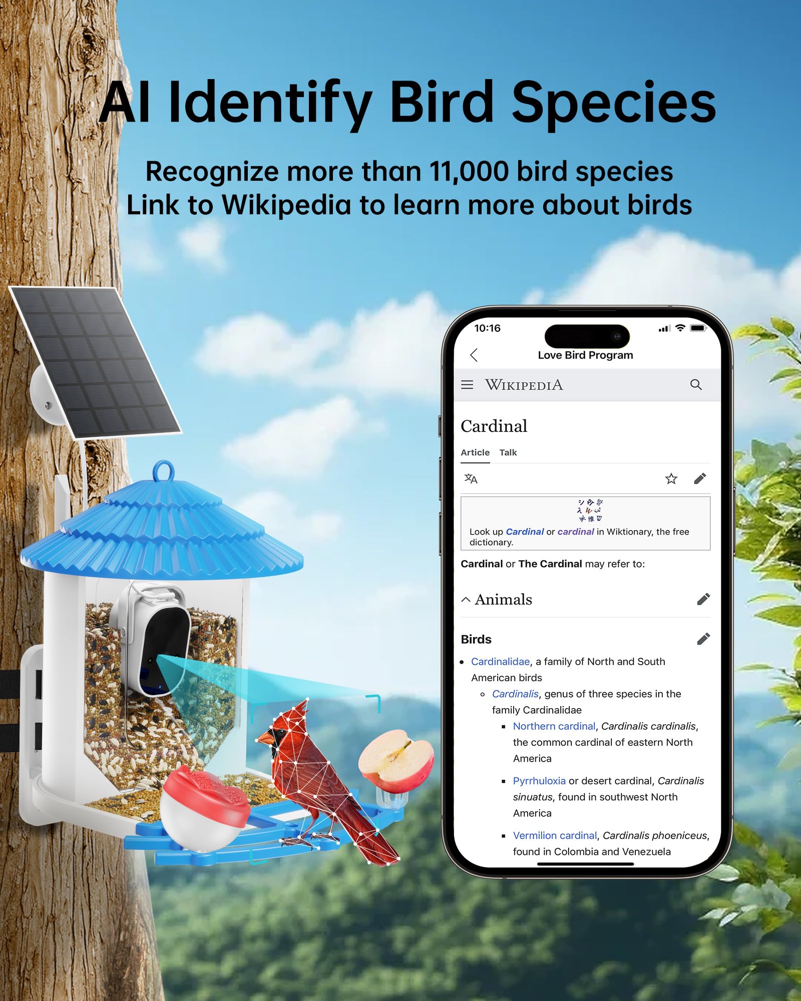 Bird Feeder with Camera Solar Powered, Wireless Outdoor, AI Bird Identifier,Smart Bird House with cam, Build-in 64GB TF Card, 4K Night Vision, Idea Gift for Family and Friends Watching Bird - WoodArtSupply