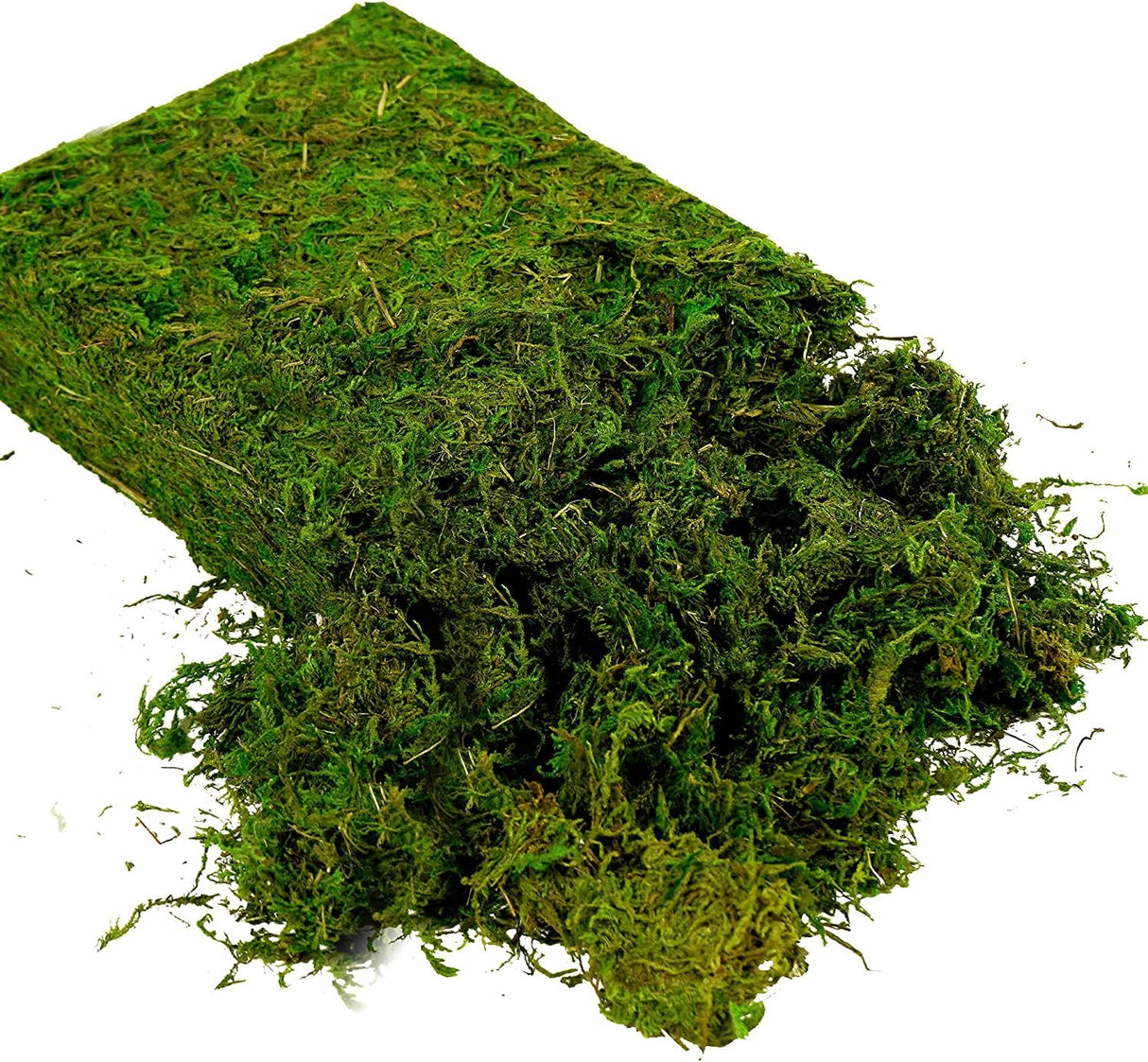 USMOLA Artificial Moss, 16OZ Fake Moss for Crafts, Decorative Centerpieces, Fairy Garden, Wedding Party Decor, Faux Potted Plants, 455gr (Fresh Green) USMOLA