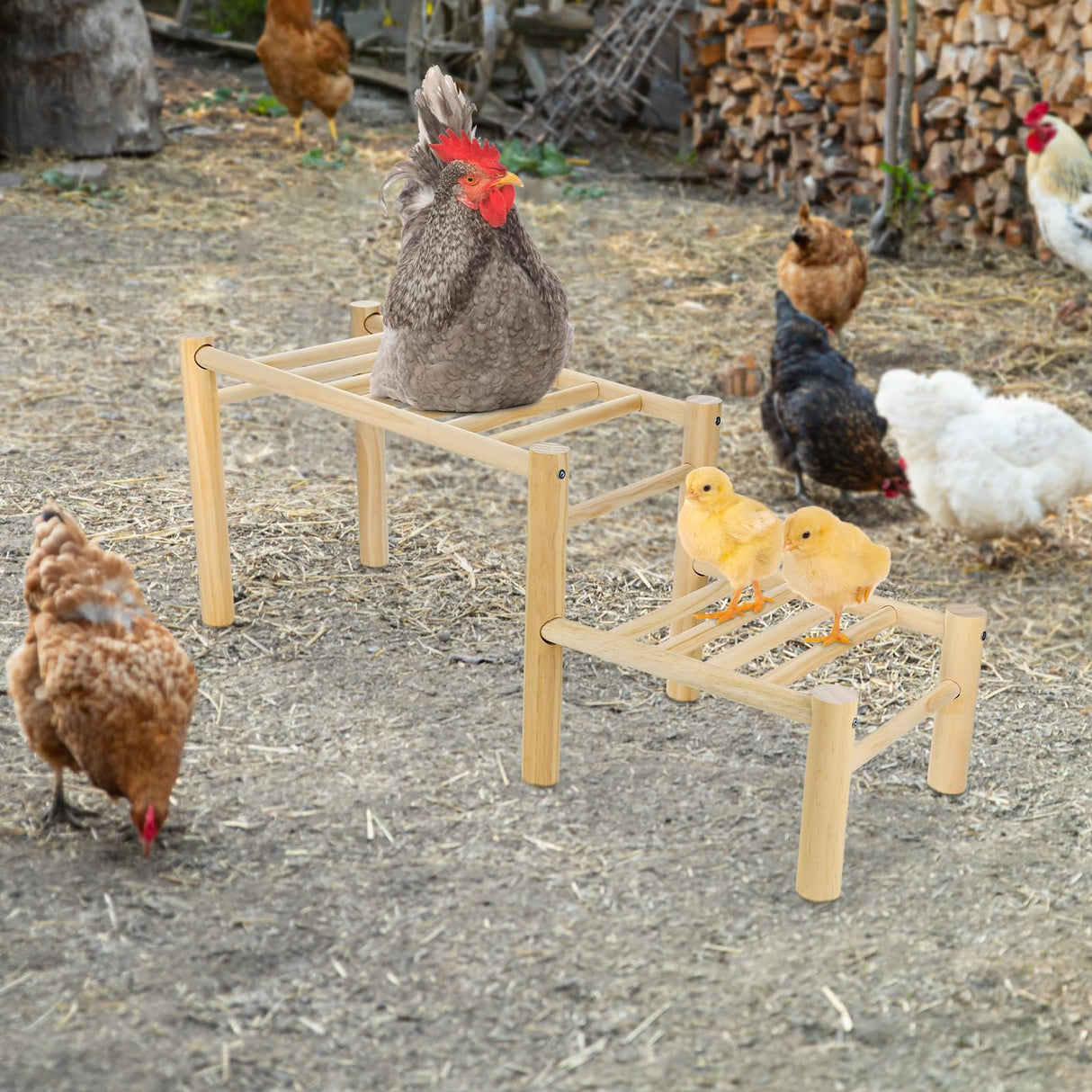 Vehomy Chicken Perch Chicken Roosting Ladder for Chicken Coop Chicken Roosting Bar Chicken Jungle Gym Chicken Toys for Hen Poultry Vehomy