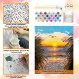 NPCSWXQ Paint by Numbers Kit for Adults Beginners, Beach Sunset Oil Acrylic Painting Crafts Number Artist Paint Kit for Home Wall Bedroom Study or Office Decor Gift 16x20Inch NPCSWXQ