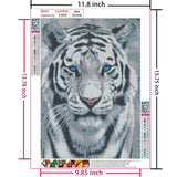 Amz Camel Diamond Painting Kit, 30x40cm White Tiger Portrait Wildlife Art, Round Drill DIY Craft for Adults, Majestic Animal Decor Gift Amz Camel