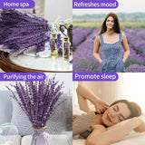 Dried Purple Lavender Flowers Bundle-Dried Preserved Lavender Bouquet 15-17" for Shower Weeding Home Vase Decor, Crafts, Aromatherapy, Fragrance, Fresh Silk Dry Live Plants, 50g(1.76oz) Glicrili