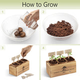 Avergo Bonsai Tree Kit – 3X Unique Japanese Bonzai Trees | Complete Indoor Starter Kit for Growing Bonsai Plants with Tools & Planters – Gardening Gifts for Women & Men AVERGO