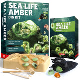 EDUMAN Amber Dig Kit-6 Artificial Sea Life Resin Specimens, Glow in The Dark Oceanlife Fossil Excavation Set, STEM Inspired Educational Toy for Kids Ages 6-12, for Boys & Girls EDUMAN