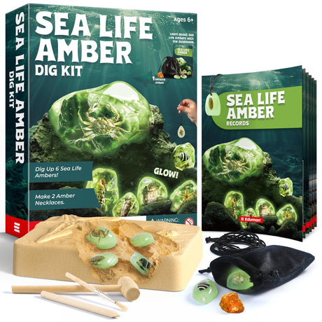 EDUMAN Amber Dig Kit-6 Artificial Sea Life Resin Specimens, Glow in The Dark Oceanlife Fossil Excavation Set, STEM Inspired Educational Toy for Kids Ages 6-12, for Boys & Girls EDUMAN