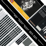 Charcoal Pencils for Drawing, Set of 22, Professional Drawing Sketch Pencils, Art Supplies for Sketching, Shading, Artist Charcoal Supplies for Beginners & Pro Artists. Aenir