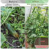 Cucumber Trellis for Raised Bed 65"×48", Garden Arch Trellis for Climbing Plants Outdoor, Metal Garden Trellis for Vegetables, Cucumber Trellis for Tomato, Bean, Pea, Grape, Plant, Squash Tetutor