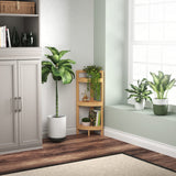 Bamboo Corner Shelf with 3 Tiers - Stylish Floor Standing Unit for Small Spaces by ClosetMaid ClosetMaid