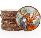 ilauke Wood Slices for Centerpieces, 4.7-5.1 Inch Unfinished Wood 10Pcs Natural Wood Slices Round Wooden Discs Wood Circles, Wedding Decorations, Christmas Ornaments, DIY Crafts Paintings ilauke