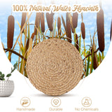 Aofmee 12 inch Round Woven Placemats Set of 6, Boho Rattan Place Mats, Natural Water Hyacinth Table Placemats, Farmhouse Weave Table Mats, Rustic Braided Wicker Charger Plates for Dining Table Decor Aofmee