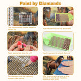 CEOVR Horse Diamond Art Kits for Adults, 5D DIY Full Drill Diamond Painting Dots Gem Art, Adult Crafts Kits Arts and Crafts, Wall Decor for Home Office, 12x12inch CEOVR
