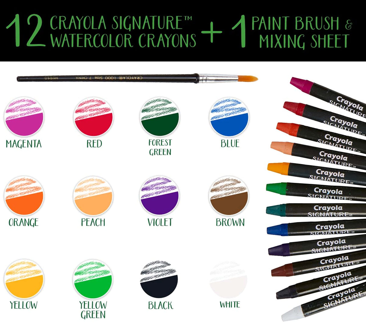 Crayola Signature Premium Watercolor Crayon Sticks & Paintbrush, 12 Count, Gift Crayola