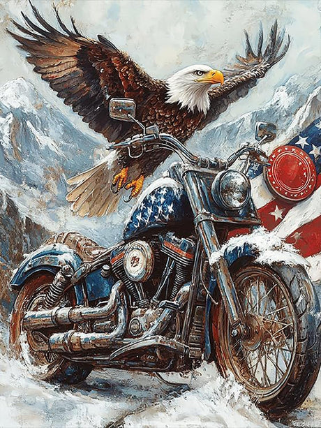YEEIFFD Motorcycle Eagle Diamond Painting Kits for Adults, War 5D DIY Diamond Art Kits Full Drill Diamond for Gift Wall Decor Gem Arts 12x16inch YEEIFFD