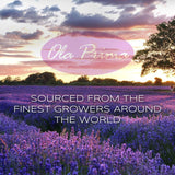 Ola Prima Vanilla Essential Oil 16oz – Therapeutic Grade Big Bottle for Aromatherapy, Diffuser & Candle Making, Vanilla Candle Scent - Essential Oils Ola Prima