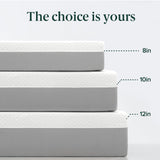 ZINUS 10 Inch Green Tea Essential Memory Foam Mattress [New Version], Twin, Fiberglass Free, Medium Feel, Breathable Airflow Memory Foam, Certified Safe Foams & Fabric, Mattress in A Box Zinus