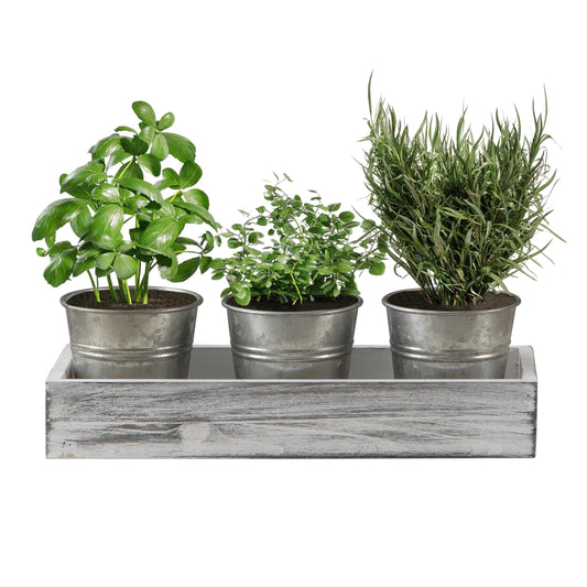 SOFE Herb Garden Planter Indoor, Windowsill Metal Planter Set of 3 with Wood Tray, Farmhouse Flower Pot Galvanized Bucket Planter, Small Potting Pots for Rosemary, Basil, Cilantro