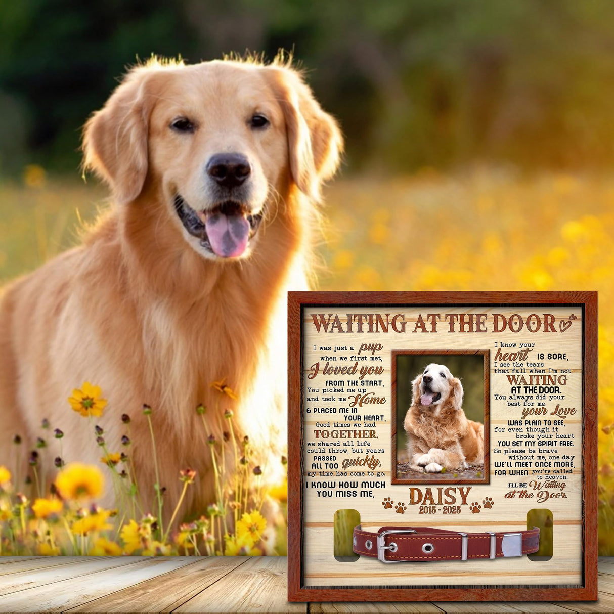 Nestura Custom Dog Collar Frame Memorial – Pet Loss Shadow Box with Photo and Collar Slot – Dogs Remembrance Gift for Passing Away – RIP Dog Tribute Display Nestura