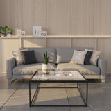 Glass Coffee Table Modern Center Table,Minimalist Coffee Table Sofa Side Tea Table for Living Room,Tempered Glass-top with Sturdy Metal Frame, Easy Assembly,26.4 x 26.4 x 15.7 Inches, Black Easy Paws