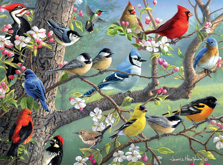 Buffalo Games - Hautman Brothers - Birds in an Orchard - 1000 Piece Jigsaw Puzzle Buffalo Games