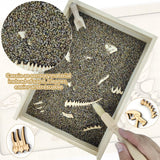 Dinosaur Excavation Archaeology Dig Kit for Kids, Fossil Explore Sensory Bin Toys, Dino Skeletons Bones Puzzle Game, Archaeology Science STEM Toys for Boys and Girls (Stegosaurus) Xylolin