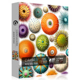 PICKFORU Colorful Sea Urchin Puzzles for Adults 1000 Pieces, Ocean Beach Puzzle, Challenging Puzzles for Adults, Nature Hard Jigsaw Puzzles PICKFORU
