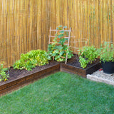 Jollybower 4ft x 8ft x 0.4" D Natural Bamboo Fence, Outdoor Rolled Bamboo Fencing, Decorative Bamboo Privacy Screen for Garden Backyard Balcony Jollybower