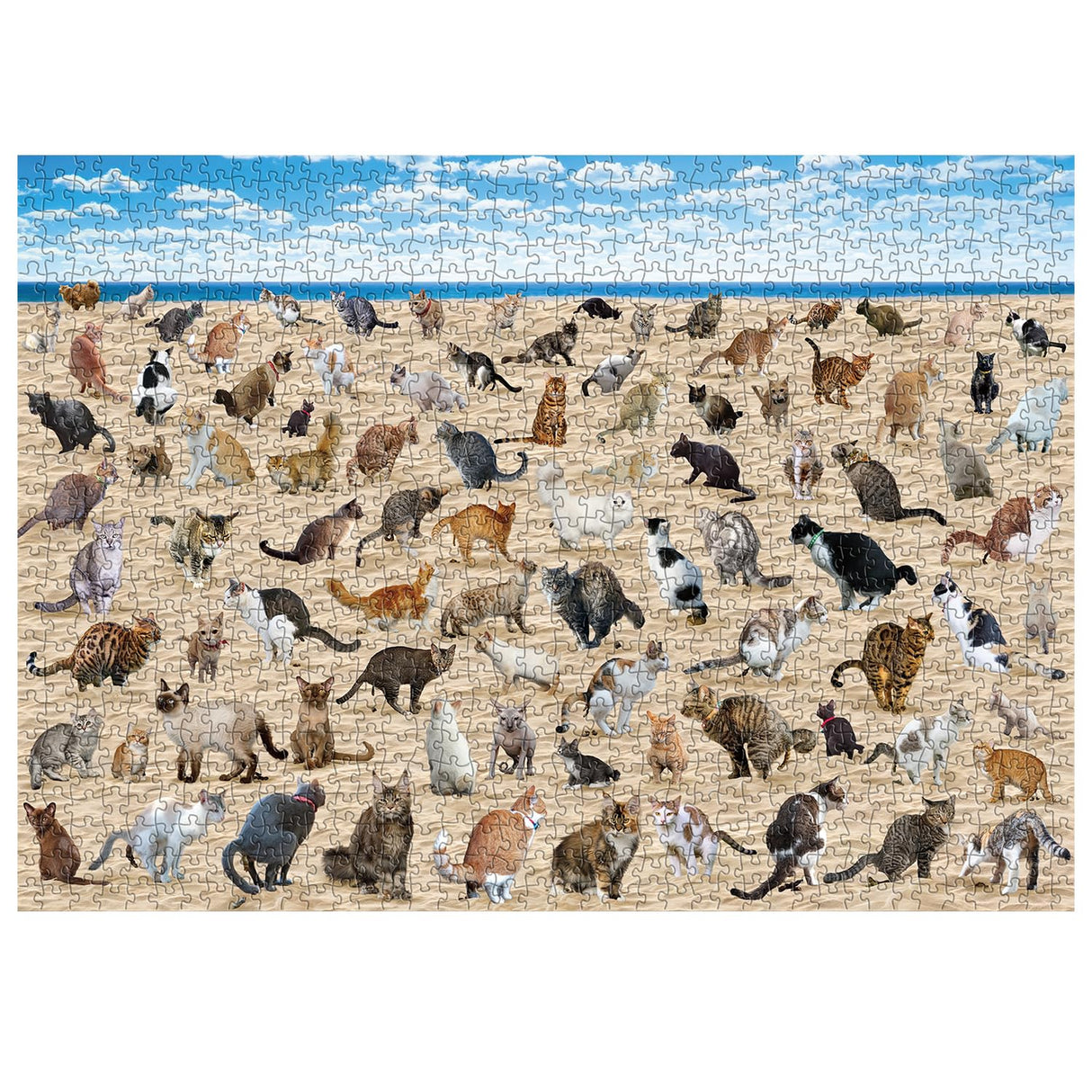 Beach Cat Puzzle 1000 Piece Puzzle for Adults, Cat Puzzles for Adults Animal Jigsaw Puzzle, Kitty Pooping Puzzle as Funny Gag Home Decor BBOLDIN