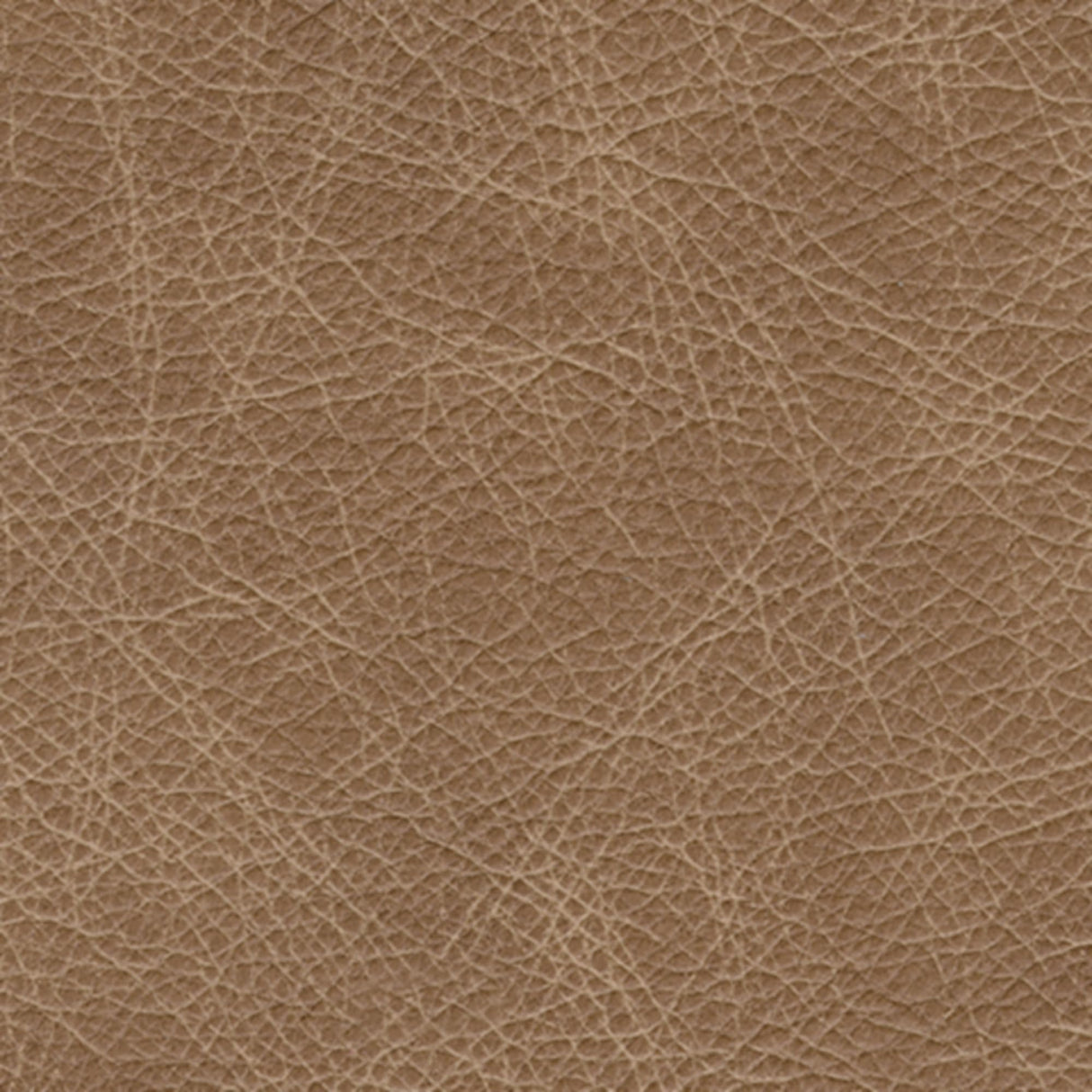 Signature Design by Ashley Lombardia Contemporary Leather Match Loveseat, Light Brown Signature Design by Ashley