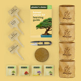 Bonsai Starter Kit - Gardening Easter Gift for Women & Men - Bonsai Tree Growing Garden Crafts Hobby Kits for Adults, Unique DIY Hobbies for Plant Lovers - Unusual Christmas Gifts Ideas Planters' Choice