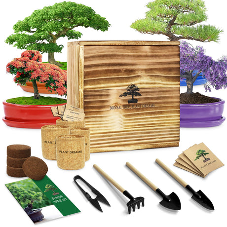 Bonsai Tree Kit – DIY Japanese Bonzai Trees with All-in-One Indoor Plant Growing Tools & Planters – Unique Gardening Gifts for Women, Men & Kids LUOJIBIE
